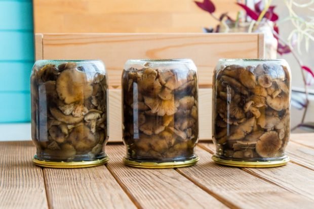 Fried honey mushrooms for the winter in jars