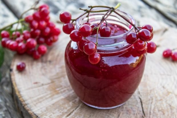 Red viburnum jelly 