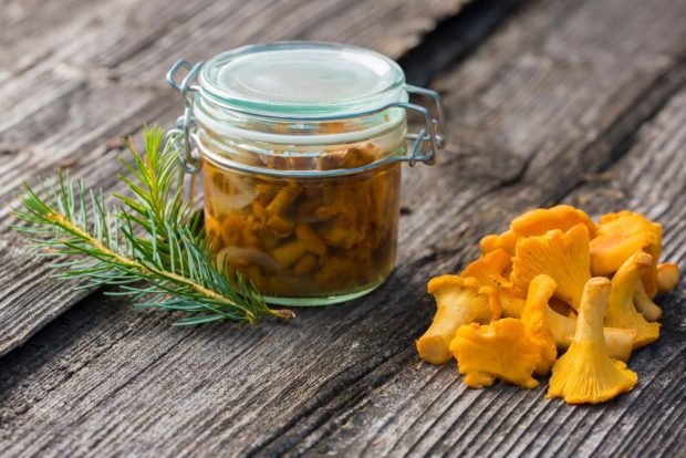 Salted chanterelles for winter – a simple and delicious recipe, how to cook step by step