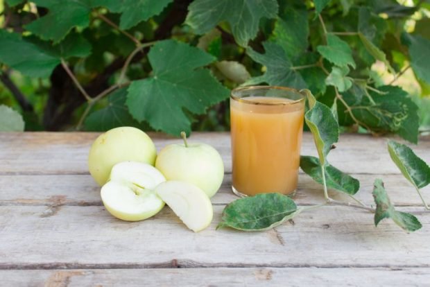 Apple juice with pulp through a juicer for the winter 