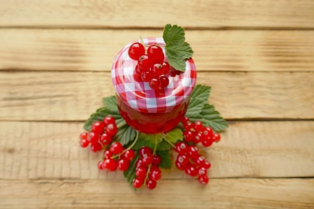 Pickled red currant on twigs